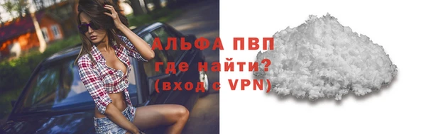 спиды Алзамай