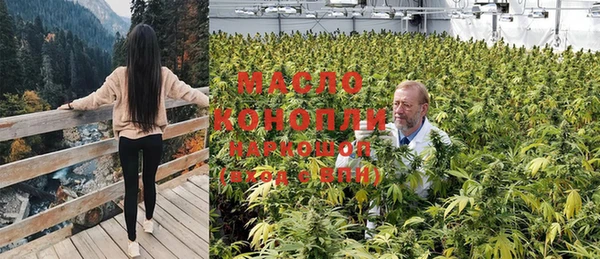 эйфоретик Касимов