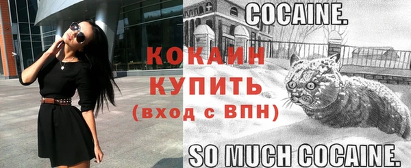 дмт Елизово