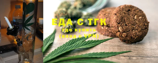 шишки Гусь-Хрустальный
