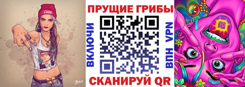 Псилоцибиновые грибы GOLDEN TEACHER  darknet какой сайт  Камышин 